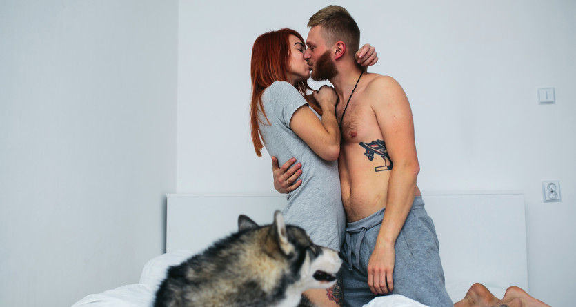 Un couple partage un baiser passionn&eacute; dans une Secret Room, accompagn&eacute; d&rsquo;un chien husky